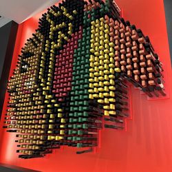 Blackhawks Store