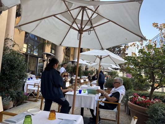 The Terrace by null