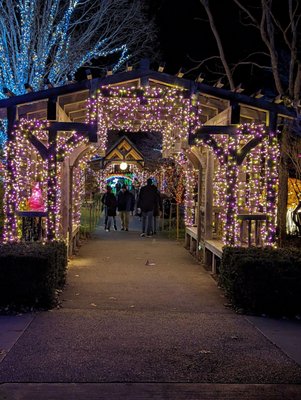 The North Carolina Arboretum by null