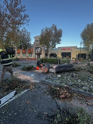 Valley Falls Tree Care on Yelp