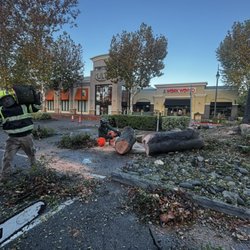 Valley Falls Tree Care - Professional tree removal service