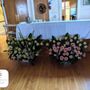 Photo of Latvian Lutheran Church of Northern California