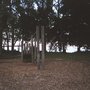 Photo of Jensen Park