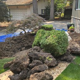 Careful placement of plants and rocks. Careful placement of plants and rocks.