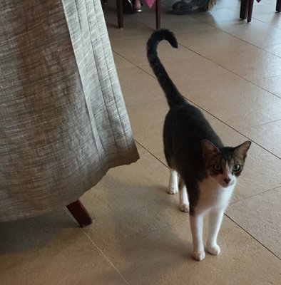 Iberostar Waves Tucan by null