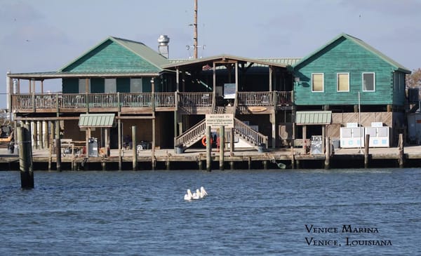 Venice Marina by null