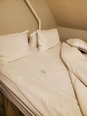 Thayers Inn Hotel by null