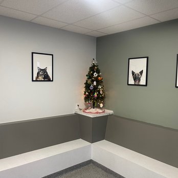 Mid-Cities Animal Urgent Care - Veterinarians Near Me - Euless, Texas Mid-Cities Animal Urgent Care - Veterinarians Near Me - Euless, Texas