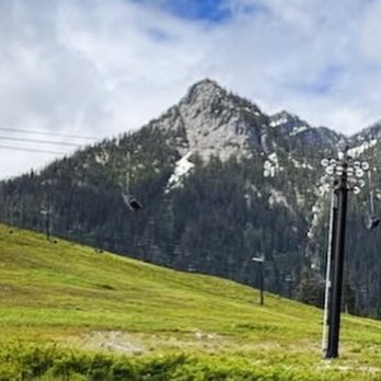 lodge lake Trail - Hiking Near Me