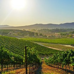Jeep Adventure Wine Tours