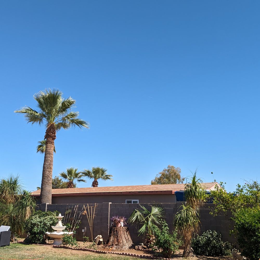 Arizona Tree Team | Phoenix Tree Removal | Trimming - Tree Services Near Me - Phoenix, Arizona
