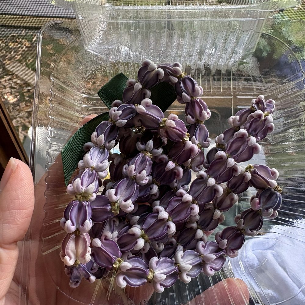 $10 $10