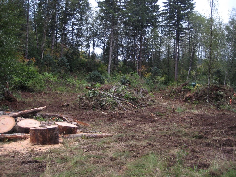 Slide of Northern Eagle Excavation