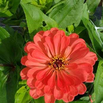 Dame Farm & Orchard - Farmers Market Near Me - Johnston, Rhode Island