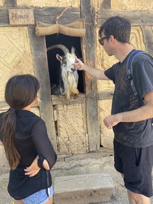 Écomusée d'Alsace by null