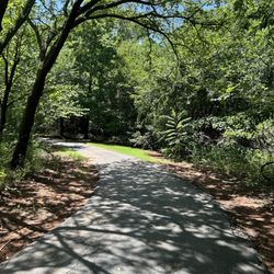 Bickham-Rudkin Park - Lots of shade!