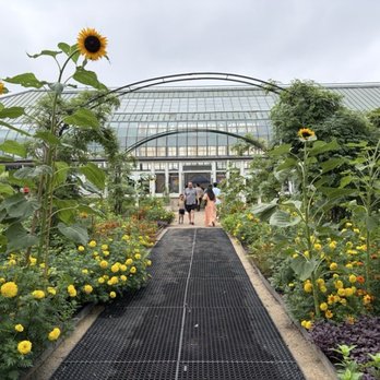 Garfield Park Conservatory - We love tall sunflowers! And all the other blooms at Garfield Park Conservatory! - Parks Near Me - Chicago, Illinois Garfield Park Conservatory - We love tall sunflowers! And all the other blooms at Garfield Park Conservatory! - Parks Near Me - Chicago, Illinois