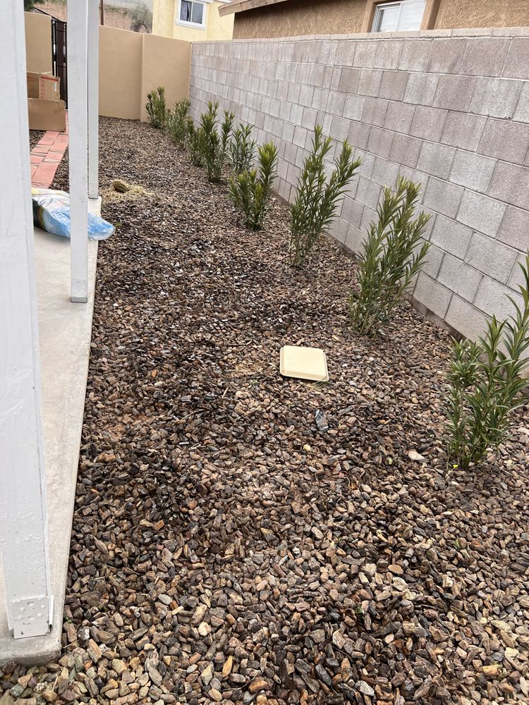 BLACK DIAMOND LANDSCAPE Updated September 2024 21 Photos Chandler