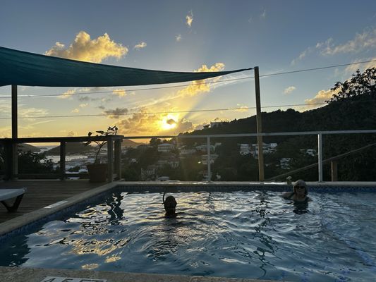 The Green Iguana Hotel by null