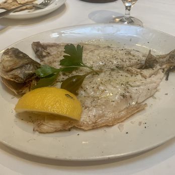 Avra Madison - My Branzino - Greek Near Me - New York, New York Avra Madison - My Branzino - Greek Near Me - New York, New York