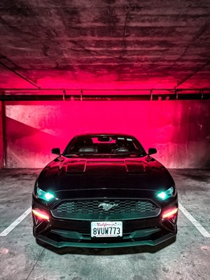 Hertz Car Rental - San Francisco - San Francisco International Airport (SFO) by null