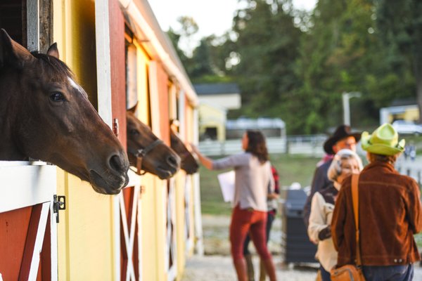 Seattle Farm by null