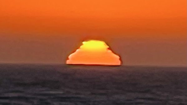 Neptune's Net by null Neptune's Net by null