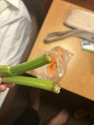 Alliance Kitchen by null