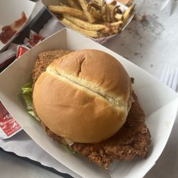 HUGE spicy chicken sandwich and fries