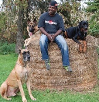 We Can Provide Protection Dogs - Personal Protection Dogs – Working Dogs – Special Ops – Guard Dogs
Trained Family Dogs for Sale
Toronto K9 Center is renowned for providing highly trained dogs tailored to meet the needs of families and individuals. Our service includes a rigorous selection process to ensure that each dog is not only physically and emotionally fit but also socially well-behaved. The center offers a range of breeds, each trained in obedience and personal protection, to suit various preferences and lifestyles.
We prioritize understanding our client’s unique needs when matching the right dog to the right home. This approach ensures that the chosen dog will integrate seamlessly into its new family environment, providing companionship and security. For those in the Toronto area, Southern Ontario, and beyond, the Toronto K9 Center stands out as a provider of trained canines ready to become a beloved part of your home.
Trained Dogs for Sale | One of our customers’ favorite services is that Toronto K9 Center can supply fully trained dogs in Obedience and Personal Protection. Our dogs are hand-picked by Roger Richards, an expert Dog Trainer with over 36 years of Training experience. Roger assures all dogs must pass our rigorous evaluation of physical, emotional, and social behavior before they are selected and begin training. We Can Provide Protection Dogs - Personal Protection Dogs – Working Dogs – Special Ops – Guard Dogs
Trained Family Dogs for Sale
Toronto K9 Center is renowned for providing highly trained dogs tailored to meet the needs of families and individuals. Our service includes a rigorous selection process to ensure that each dog is not only physically and emotionally fit but also socially well-behaved. The center offers a range of breeds, each trained in obedience and personal protection, to suit various preferences and lifestyles.
We prioritize understanding our client’s unique needs when matching the right dog to the right home. This approach ensures that the chosen dog will integrate seamlessly into its new family environment, providing companionship and security. For those in the Toronto area, Southern Ontario, and beyond, the Toronto K9 Center stands out as a provider of trained canines ready to become a beloved part of your home.
Trained Dogs for Sale | One of our customers’ favorite services is that Toronto K9 Center can supply fully trained dogs in Obedience and Personal Protection. Our dogs are hand-picked by Roger Richards, an expert Dog Trainer with over 36 years of Training experience. Roger assures all dogs must pass our rigorous evaluation of physical, emotional, and social behavior before they are selected and begin training.