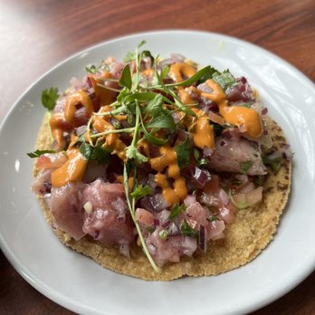 Holbox - Blue fin tuna tostada. Amazing. Very fresh - Latin American Near Me - Los Angeles, California