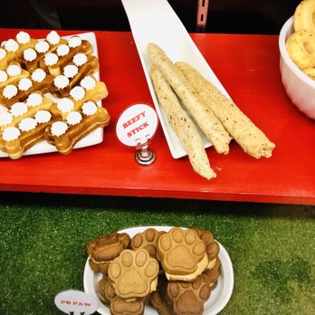 Dogwood Play Park - Treats! - Dog Parks Near Me - Seattle, Washington Dogwood Play Park - Treats! - Dog Parks Near Me - Seattle, Washington