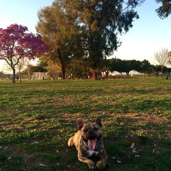 Arbor Dog Park - Dog Parks Near Me - Los Alamitos, California Arbor Dog Park - Dog Parks Near Me - Los Alamitos, California