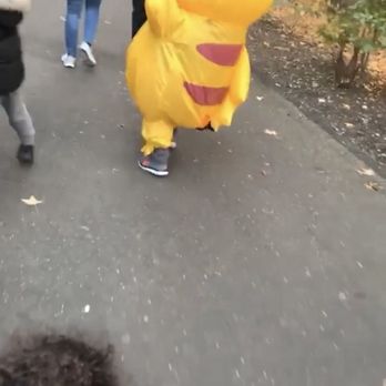 Bronx Zoo - Pikachu at Boo at the Zoo - Zoos Near Me - Bronx, New York