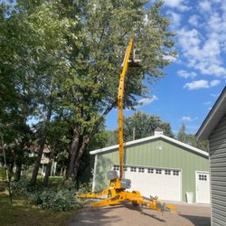 Bee's Tree Service