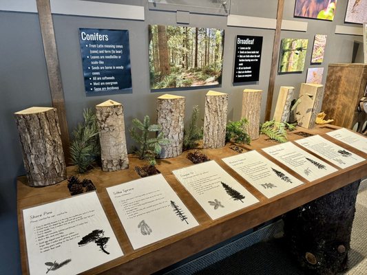 Cape Perpetua Visitor Center - Siuslaw National Forest by null