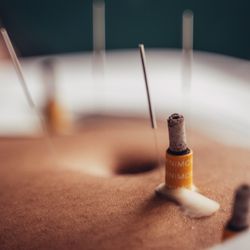 Pulse Community Care - Moxa and acupuncture for digestion and centering
