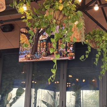 Rose Cafe- Lake Forest - Patio area - Breakfast & Brunch Near Me - Lake Forest, California Rose Cafe- Lake Forest - Patio area - Breakfast & Brunch Near Me - Lake Forest, California