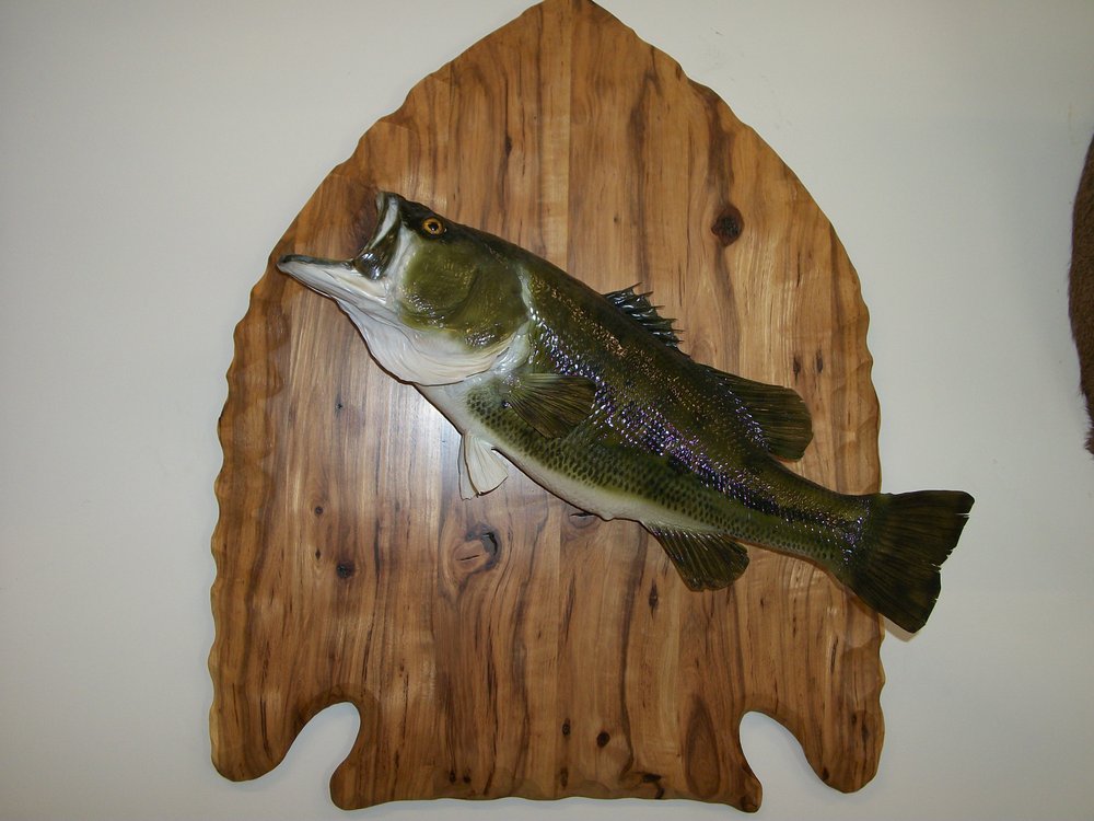 Pepper Ridge Taxidermy - taxidermy in Stanford, IL