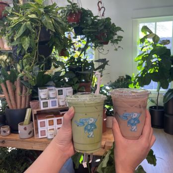 Bellwood Coffee - Coffee Roasteries Near Me - Atlanta, Georgia