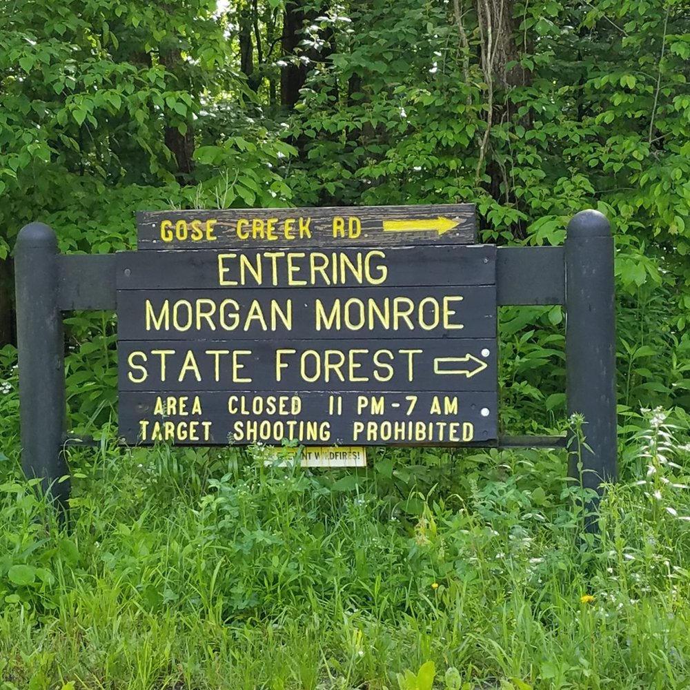 sign on Hinson Road