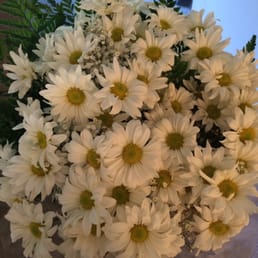 Beautiful fresh flowers