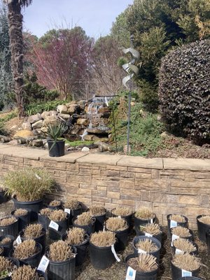 Garden Supply Company by null
