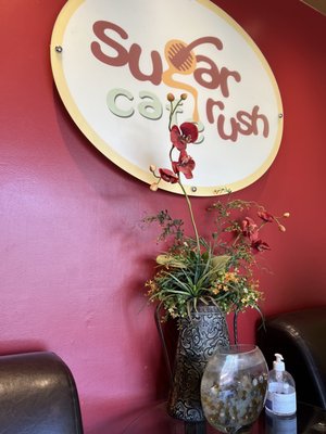 Sugar Rush Cafe by null