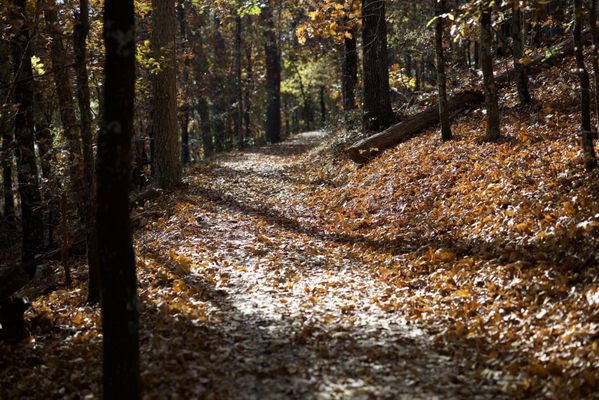 Hot Springs National Park by null
