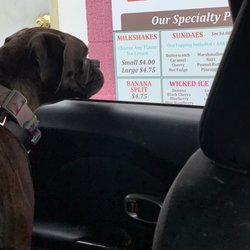 Webb's Ice Cream - Even our Pup can't wait to enjoy her dish!