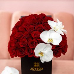 Brickell Exclusive Blooms - Red and white rose box