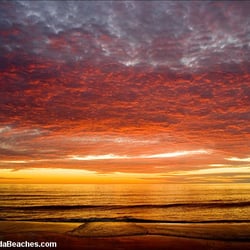 Pristine Properties Vacation Rentals