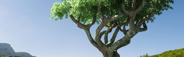 El Gato Tree Service