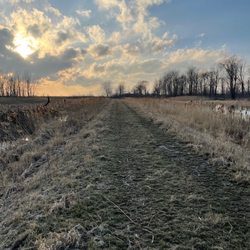 Pointe Mouillee State Game Area - February nearing an end